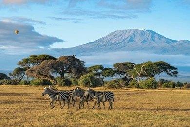 21 Days Kenya Explored