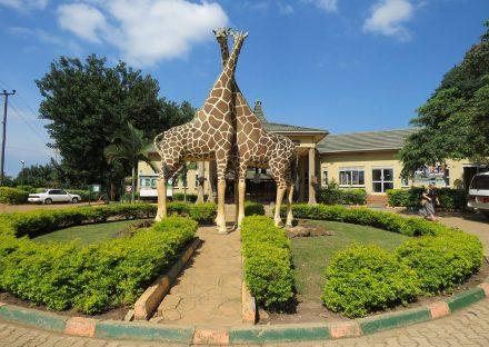 Paza Adventure Africa 3 Days Uganda Birding Tour Package
