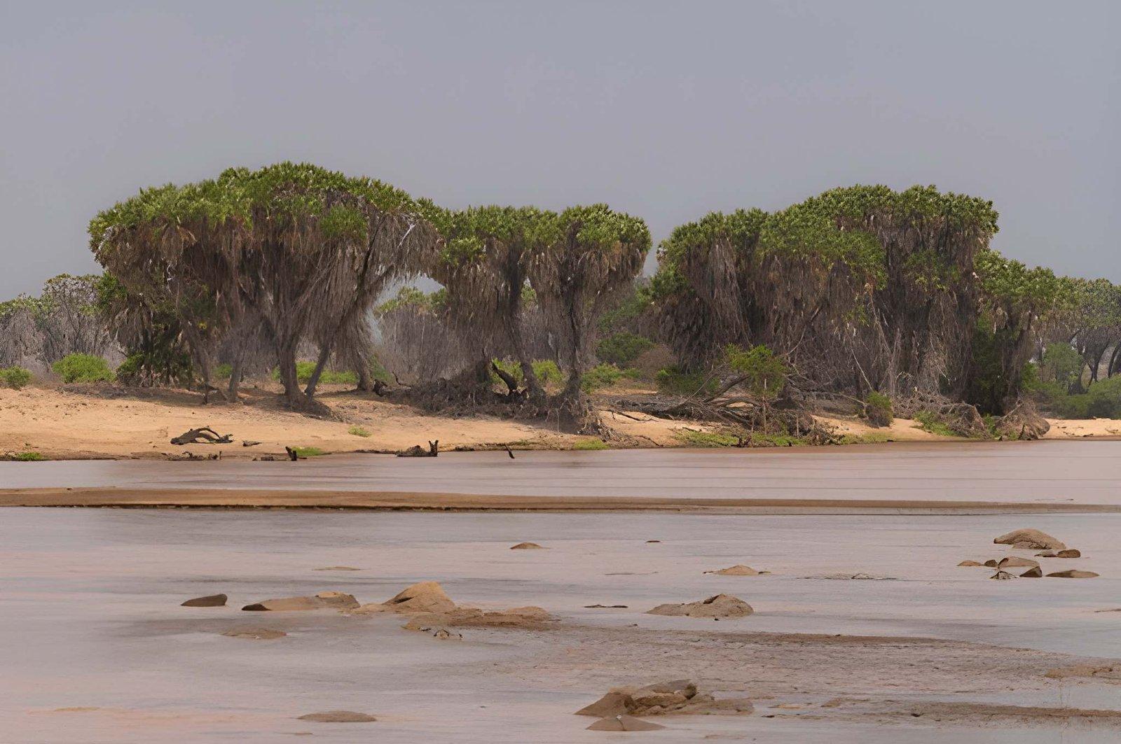 Paza Adventure Africa 4 Days Tsavo East Amboseli and Tsavo West Safari