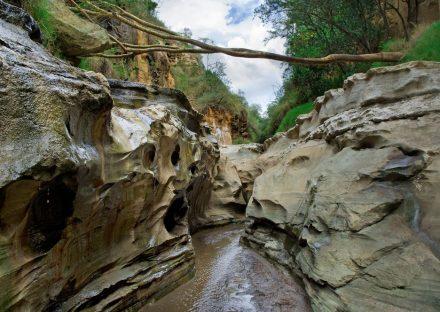 Paza Adventure Africa 5 days Masai Mara Lake Nakuru Naivasha hells gate