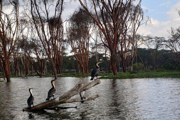 Paza Adventure Africa Day trip to Hells Gate National Park with boat ride on Lake Naivasha