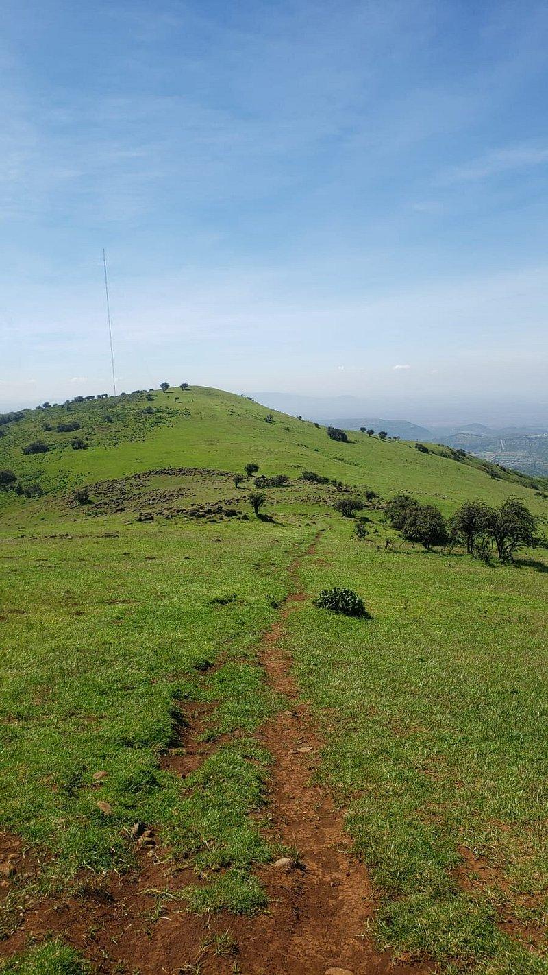 Paza Adventure Africa Private Half Day Hike to Ngong Hills from Nairobi